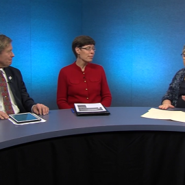 Decarbonizing the Massachusetts Economy – a conversation with Denise Garlick, Michael Greis and Joan Meschino on pending legislation