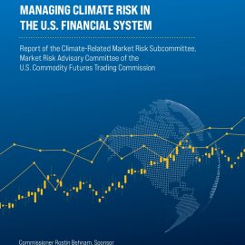 The not-so-thin-end of the wedge?  A US regulator receives a powerful report on climate systemic risk