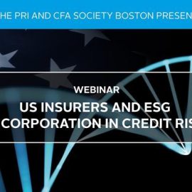 US Insurers and ESG Incorporation in Credit Risk – the first of a webinar series